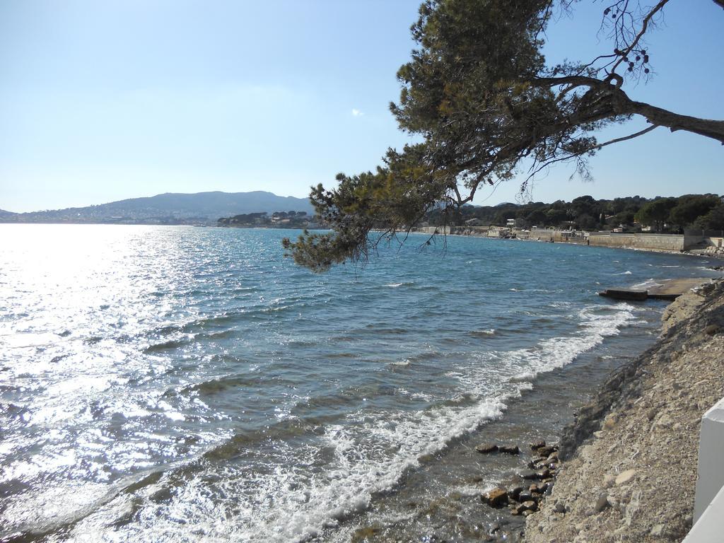 Studio Le Peneque Des Anges La Ciotat Room photo